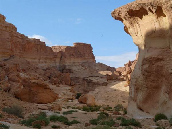 Star Wars Canyon 