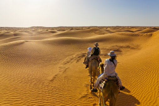 Tunisia Sahara