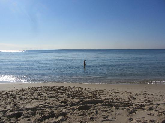 Hammamet Beach