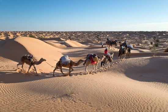 horse riding tunisia