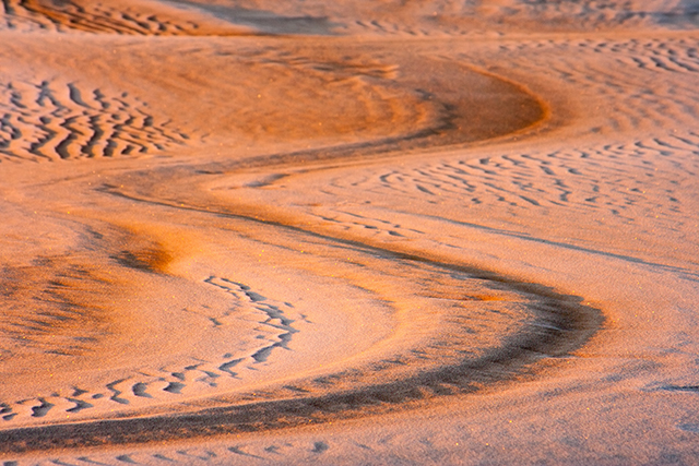 sahara trek preparation